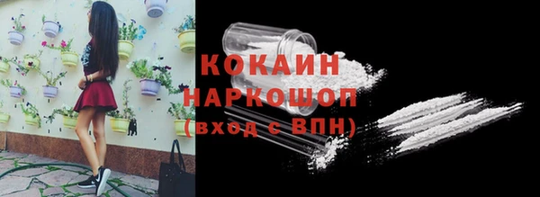 spice Алексин