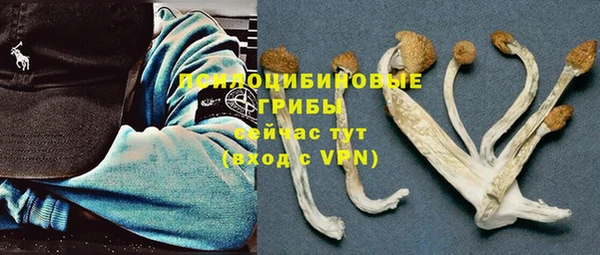mdpv Алзамай