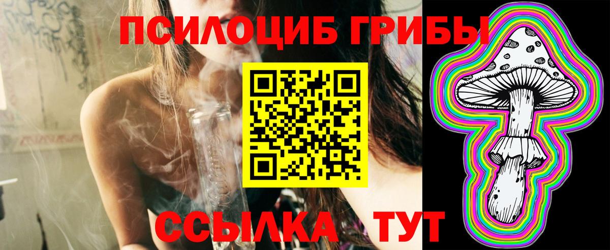Псилоцибиновые грибы Psilocybine cubensis Сунжа